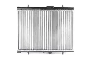 Радиатор, охлаждение двигателя BSG купить